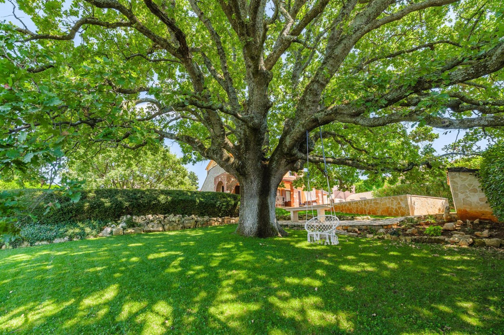 Villa Hrast Bacva Višnjan Exteriör bild