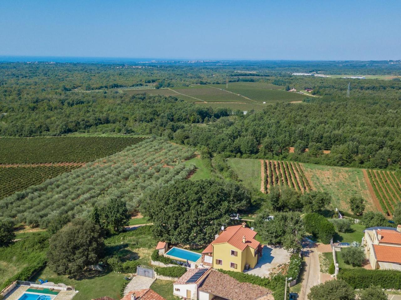 Villa Hrast Bacva Višnjan Exteriör bild
