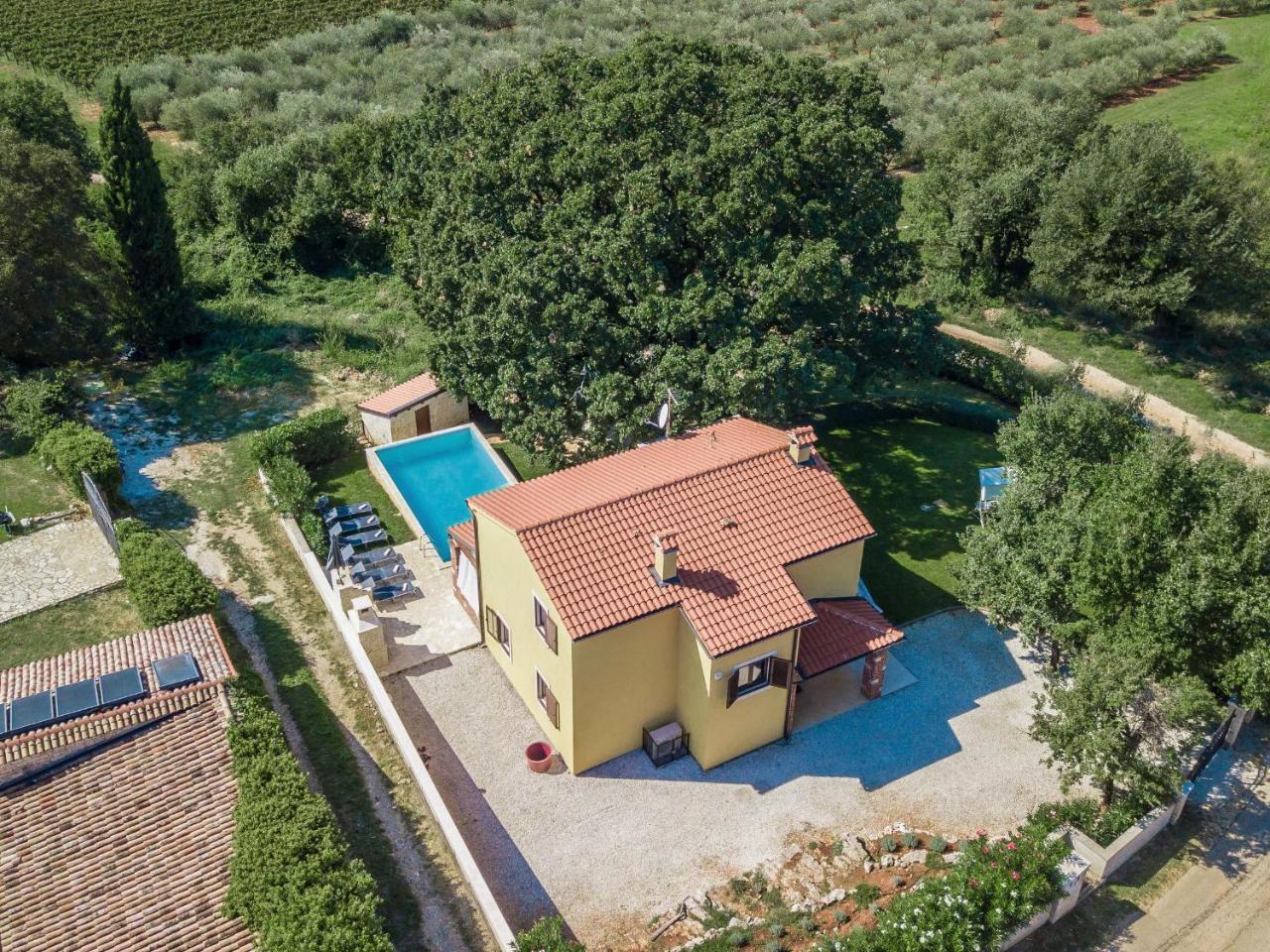 Villa Hrast Bacva Višnjan Exteriör bild